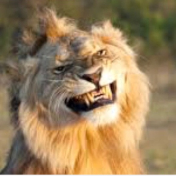 Meet your Posher, Brenda - Picture 6 of 13